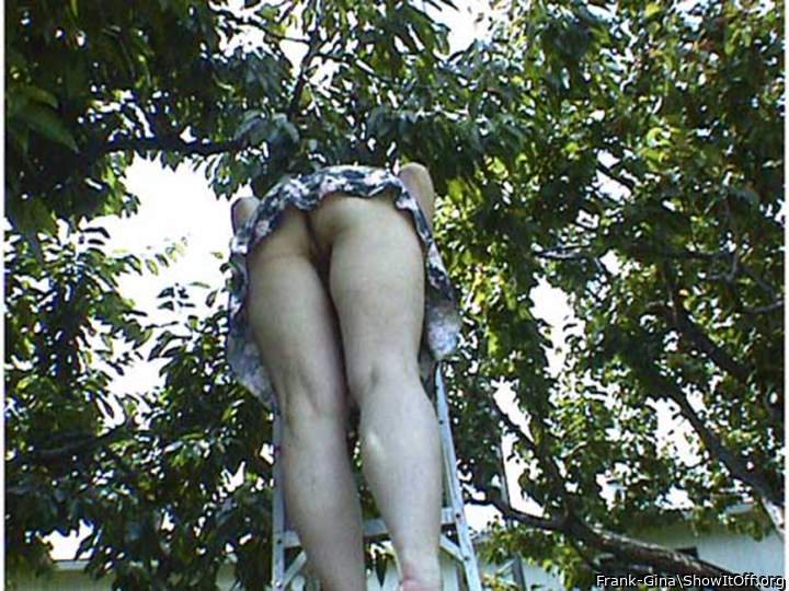 Damn you have great legs!!!