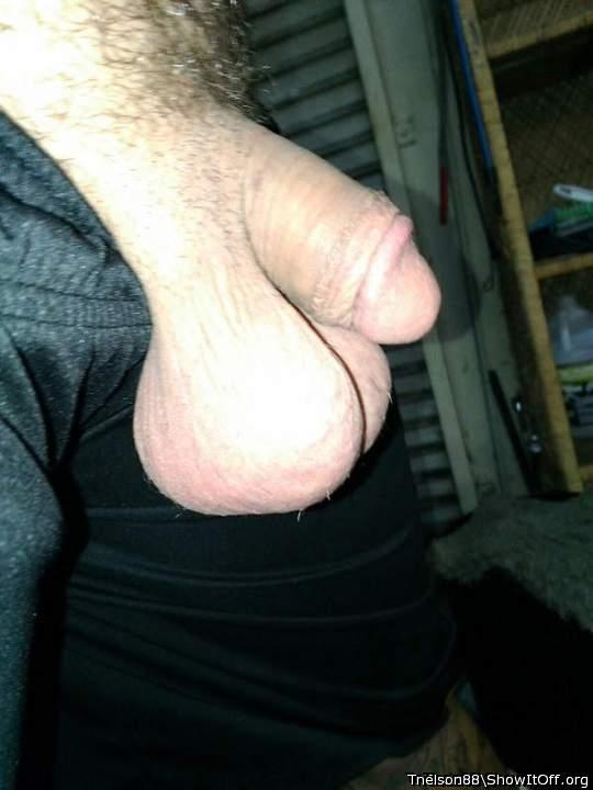 Adult image from Tnelson88