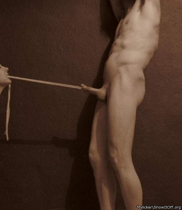 I'd love to be led around like this!      