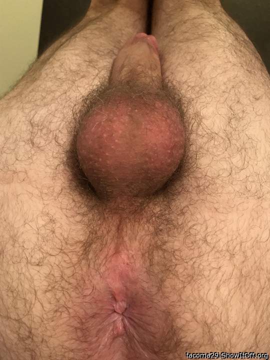 Feed me your cock and hole! I'll worship them for hours  