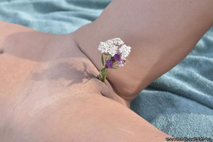 The wild flowers will grow in this!