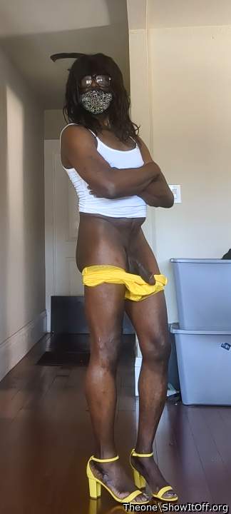 From the hood block to a CD on the Hoe stroll who knew