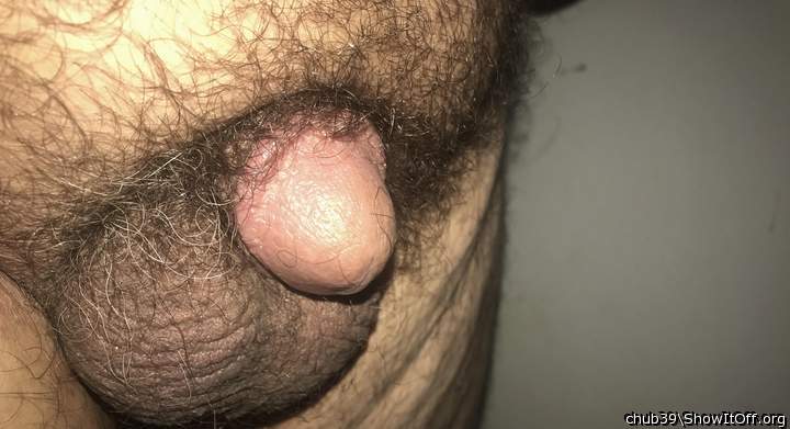 Nice tiny hairy cock and balls