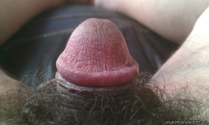 Photo of a prick from chub39