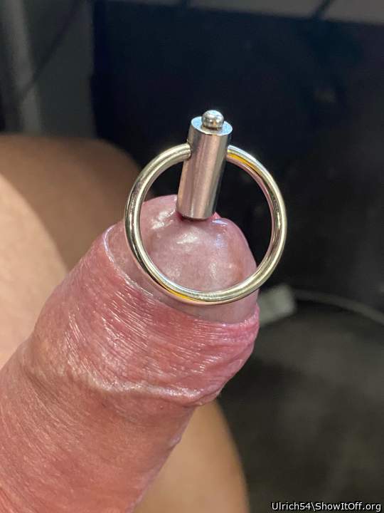 Adult image from Ulrich54