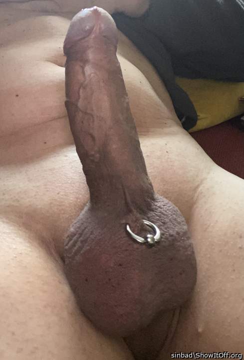Stunning pierced sac and erect cock...nice  