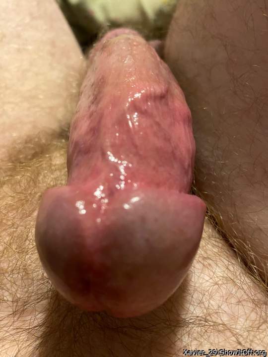 Adult image from Xavier_29