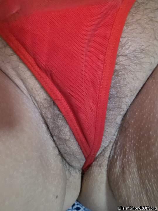 Adult image from Lilsis