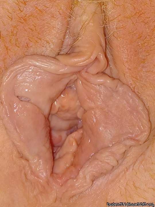 My girlfriend's well used cunt