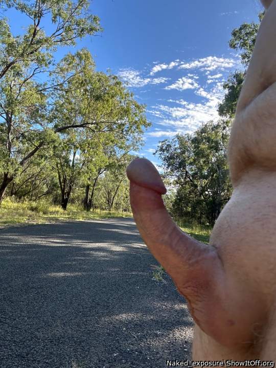 Natures beauty. Beautiful bushland and a nice hard cock ;)