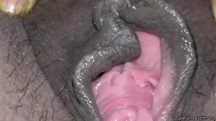 Photo of clam from couple