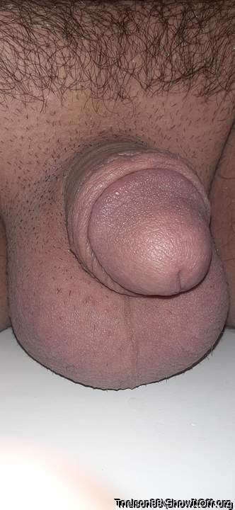 Adult image from Tnelson88