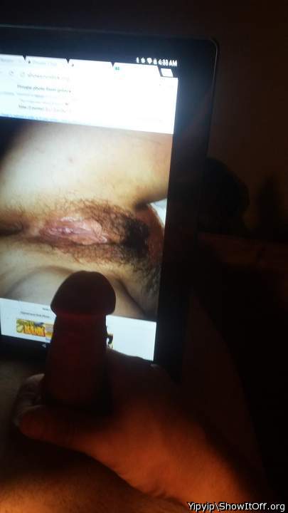 Adult image from Yipyip