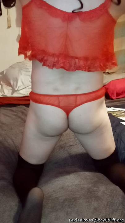 i suck cock i am gay