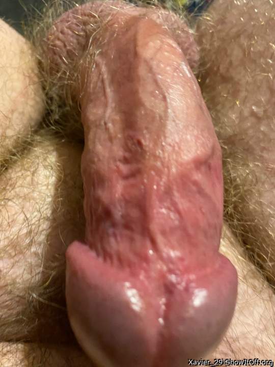 Adult image from Xavier_29