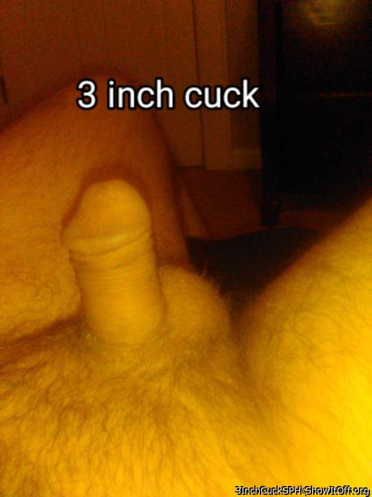 Adult image from 3InchCuckSPH