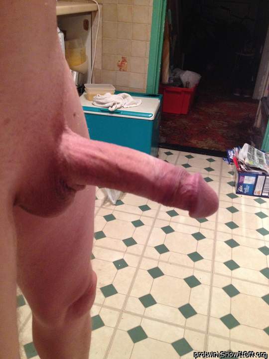 My hard dick for your pleasure