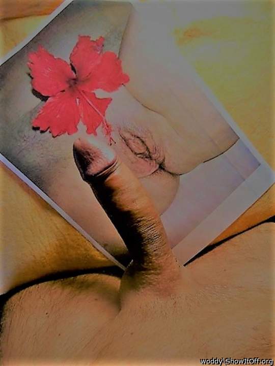 Photo of vulva from woddy