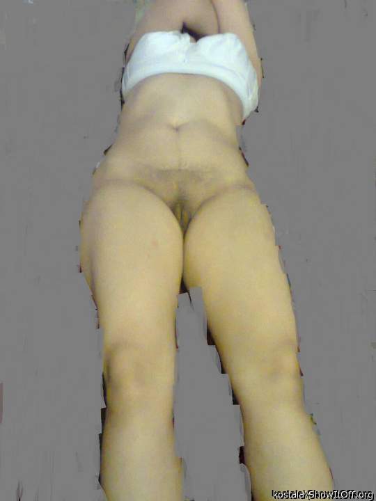 Photo of rose from kostala