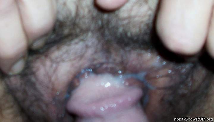 Adult image from ribbit