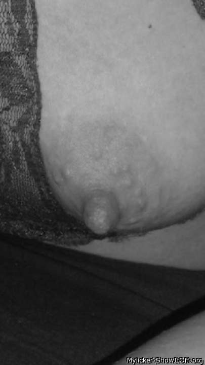 Photo of hooters from Mylicker