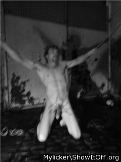 Adult image from Mylicker