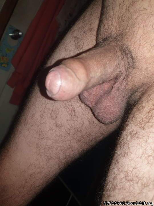 Photo of a dick from MYCOCK66