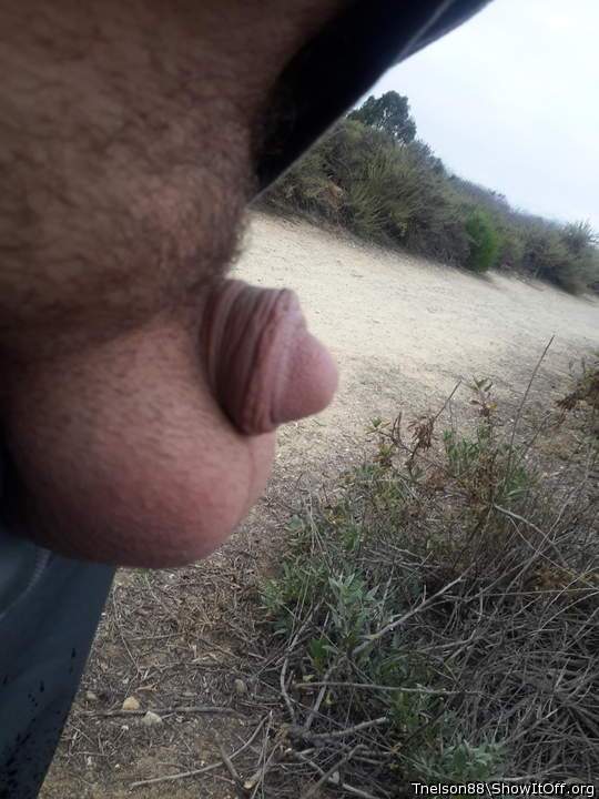 Adult image from Tnelson88