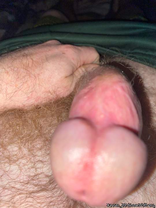 Adult image from Xavier_29