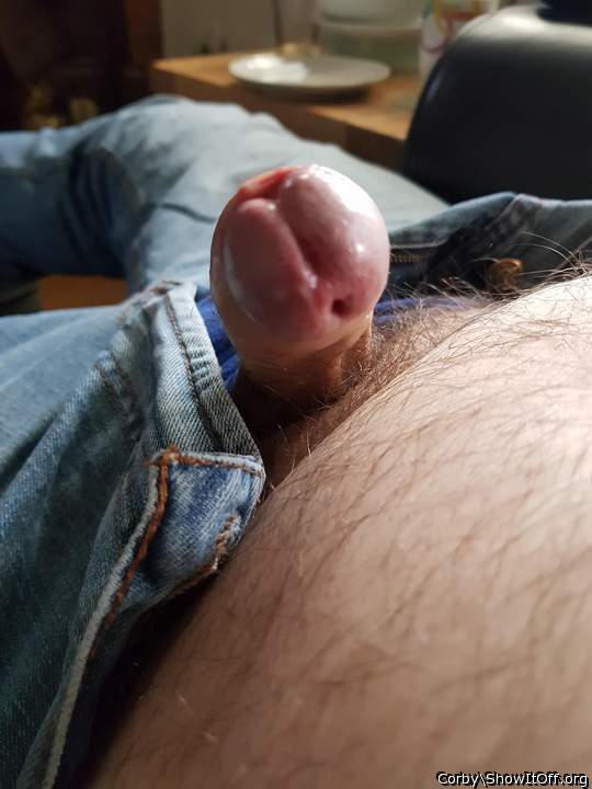 Adult image from corby