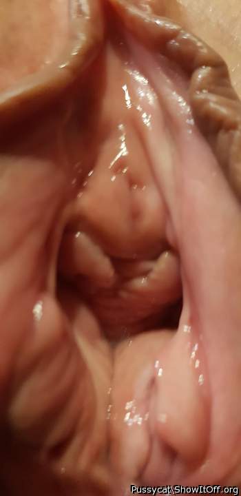 My pussy
