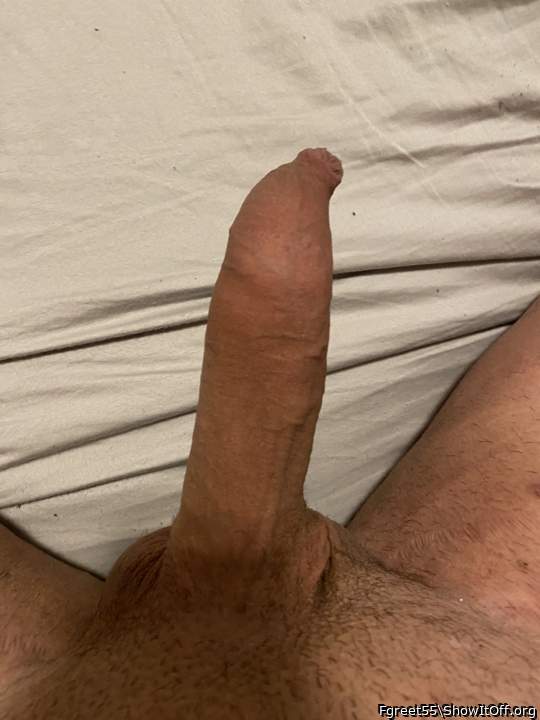 Photo of a penile from Fgreet55