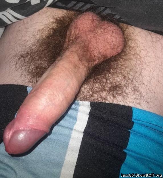 Adult image from Jaco86