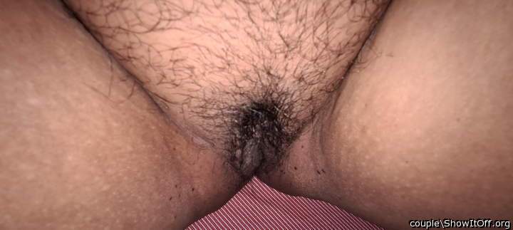 Photo of cooter from couple