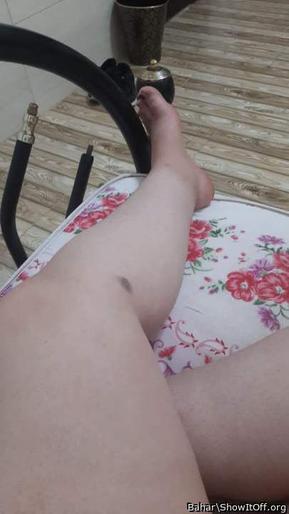 Adult image from Bahar