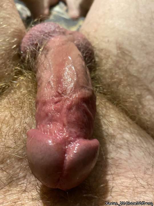 Adult image from Xavier_29