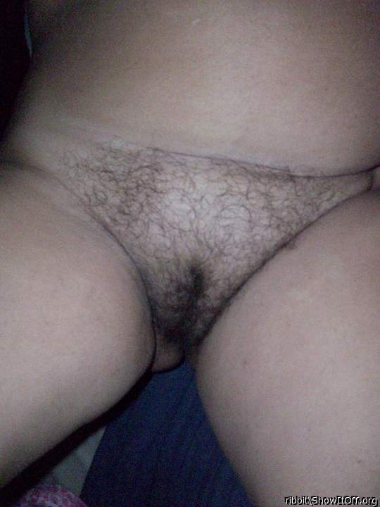 Photo of cooter from ribbit