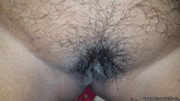 Photo of fuzz box from couple