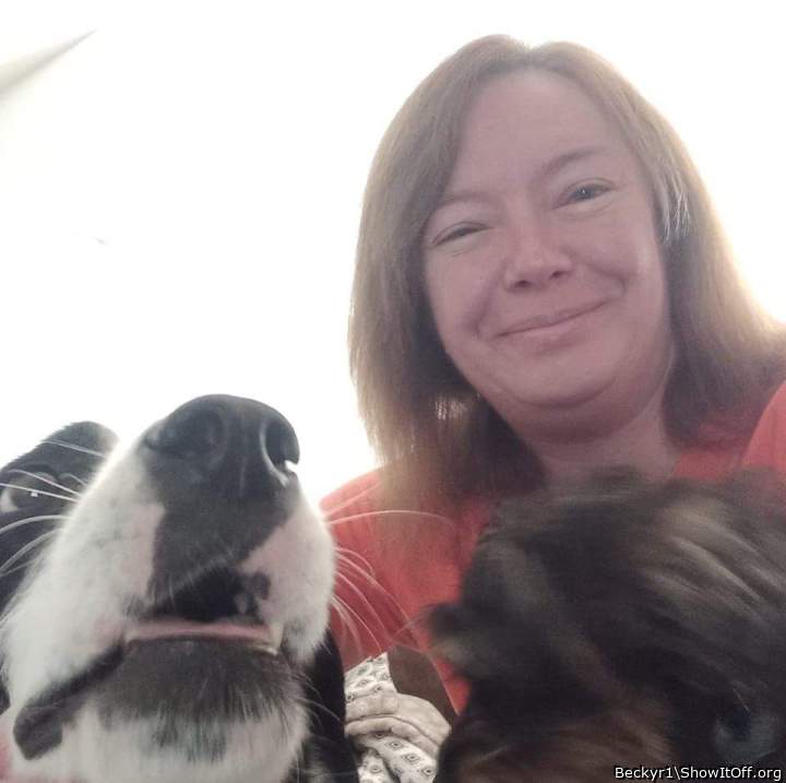 I love the dogs but do prefer pussy , sorry it had to be sai