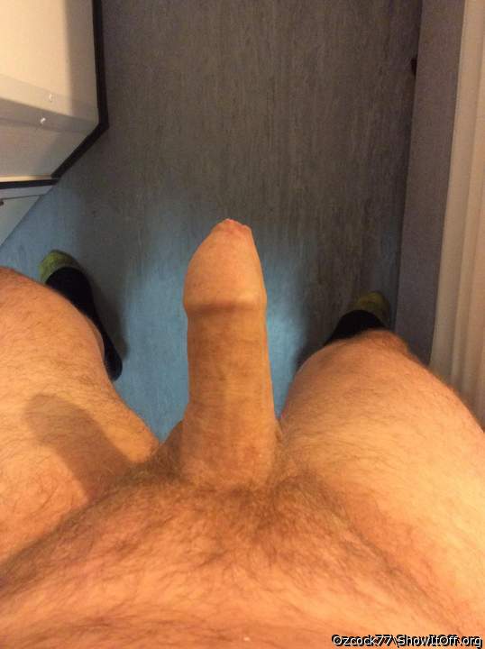 Uncut Aussie cock, who likes?