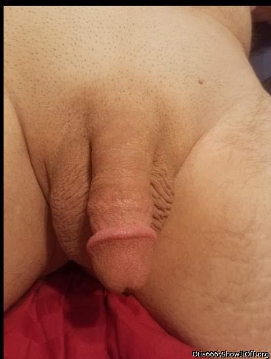 Adult image from Otis666