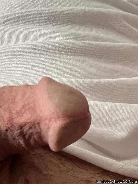 Adult image from ttimboy2