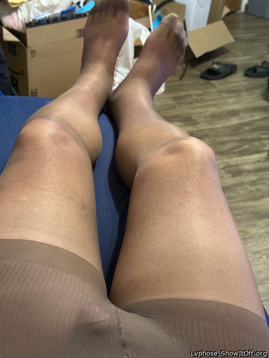 Adult image from Lvphose