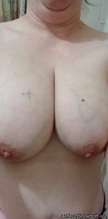 Photo of milkers from AshBug