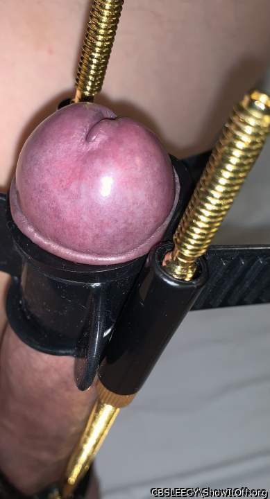 Penis Clamp on the Extender