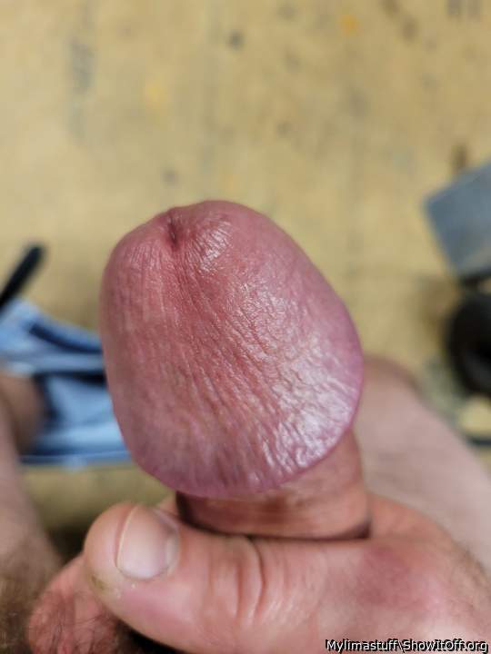 Photo of a cock from Mylimastuff