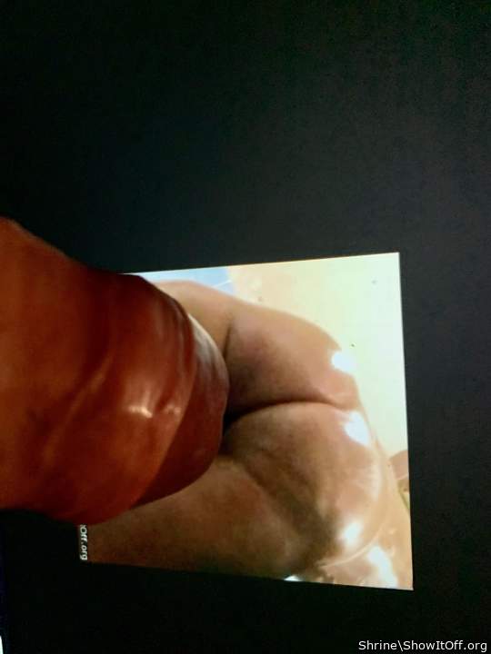 Adult image from Shrine