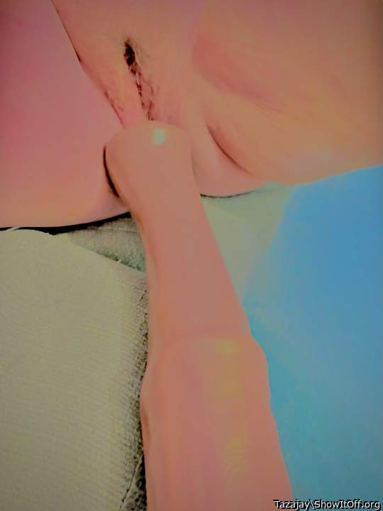 Adult image from Tazajay