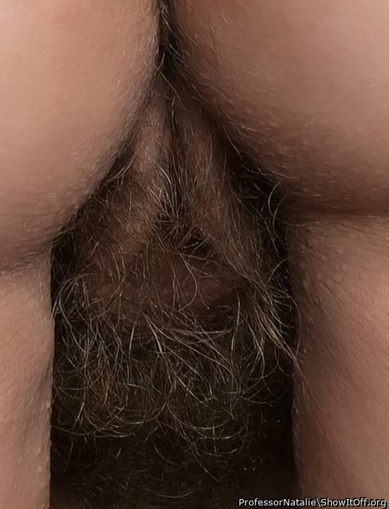 mmm I would love to go exploring in your forest.    