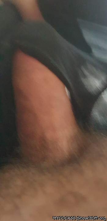 Photo of a short leg from MYCOCK66